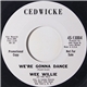 Wee Willie & The Pals - We’re Gonna Dance / Teardrop Strawberry Soda