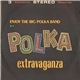 Big Polka Band - A Polka Extravaganza