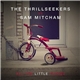 The Thrillseekers Vs Sam Mitcham - All The Little Things