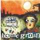 Home Groan - Astrodome