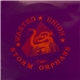 Storm Orphans - Living In A Wasted Union