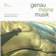 Raphaël Marionneau - Genau Meine Musik