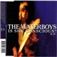 The Waterboys - Is She Conscious? E.P.