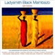 Ladysmith Black Mambazo - Ladysmith Black Mambazo & Friends