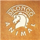 Bronco - Animal