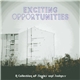 Benjamin Shaw - Exciting Opportunities: A Collection of Singles and Sadness