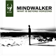 Mindwalker - What Is Beyond Horizons