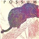 Possum - Possum