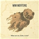 Wim Mertens - What Are We, Locks, To Do?