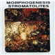 Morphogenesis - Stromatolites