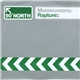 Moonrunners - Rapture