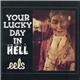 Eels - Your Lucky Day In Hell