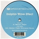 Dolphin Wave Effect - Maiden Flight