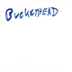 Bucketheadland - Wishes