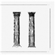 Columns - In Loving Hues