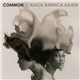 Common - Black America Again