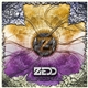 Zedd - Fall Into The Sky