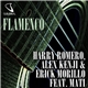 Harry Romero, Alex Kenji & Erick Morillo feat. Mati - Flamenco