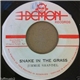 Jimmie Shandel - Snake In The Grass