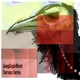 Corvus Coren - LongEagleWest