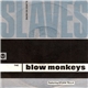 The Blow Monkeys Featuring Sylvia Tella - Slaves No More