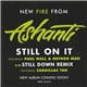 Ashanti featuring Paul Wall & Method Man - Still On It
