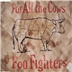 Foo Fighters - For All The Cows