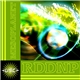 RDDNP - Mesoplanet