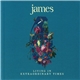 James - Living In Extraordinary Times