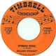 Delano Stewart - Spinning Wheel