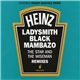 Ladysmith Black Mambazo - Inkanyezi Nezazi (The Star And The Wiseman)