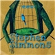 Stephen Simmons - Hearsay