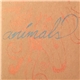 Harvard - Animals