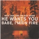 Nick Cave And The Bad Seeds - He Wants You / Babe, I'm On Fire