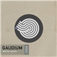 Gaudium - Wake Up / Answers