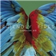 Friendly Fires - Hawaiian Air