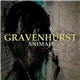 Gravenhurst - Animals