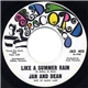 Jan And Dean - Like A Summer Rain