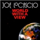 Joe LoCascio - World With A View