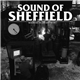 The Black Dog - Sound Of Sheffield Vol. 01