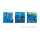 Tim Morse - III