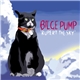 Bilge Pump - Rupert The Sky