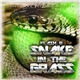Flash G - Snake In The Grass E​.​P
