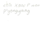 Chin Xaou Ti Won - P'yongyang