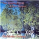 Free System Projekt & Dave Brewer - Okefenokee Dreams