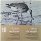 John Kirby - Listen The Birds 16 = Hoor De Vogels 16