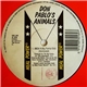 Don Pablo's Animals - Ibiza II