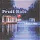 Fruit Bats - Echolocation