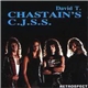 David T. Chastain's CJSS - Retrospect