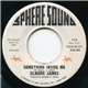 Elmore James - Something Inside Me / She Done Move (Instrumental)